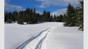 Czech Winter