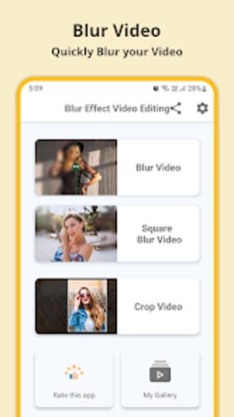 Blur or Pixelate Video Editor