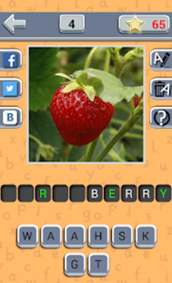 Guess Fruit Berry