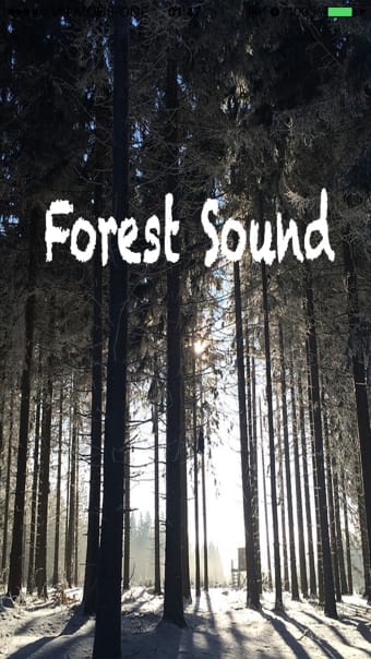 Forest Sounds - Forest MusicSound Therapy