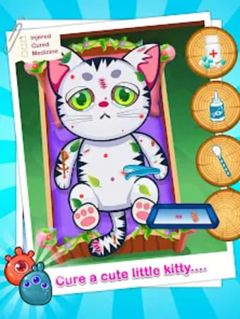 Kitty Pet Daycare Activities
