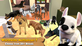 Cat  Dog Online: Multiplayer Kitten  Puppy Sim