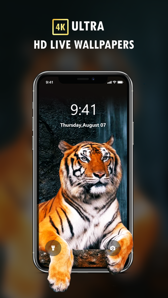 Live Wallpaper 4K Themes