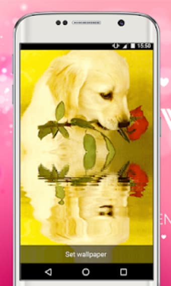 Cute Puppy Rose Live Wallpaper Puppy Dog LWP 2019