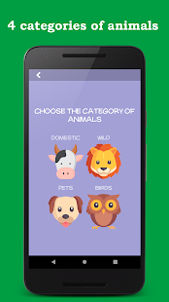 Learn Animal Sounds  Domans Learning Cards