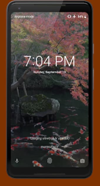 Japanese Pond with Koi Video Wallpaper