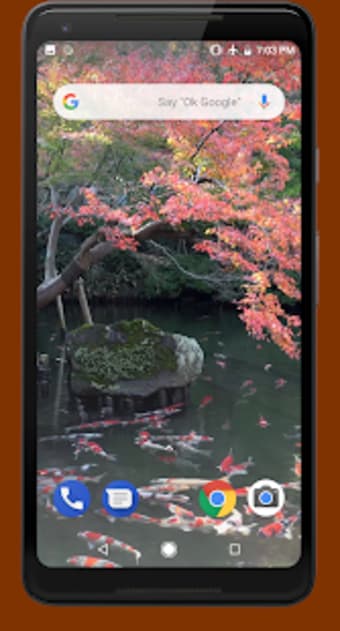 Japanese Pond with Koi Video Wallpaper