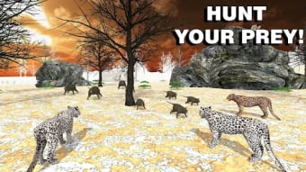 Leopard Family Simulator