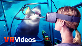 The Best VR Videos