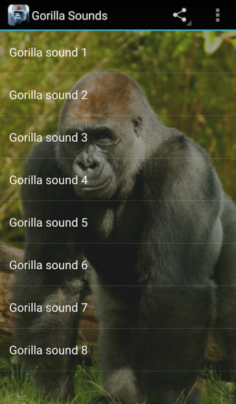 Gorilla Sounds
