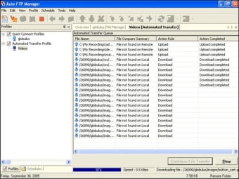 Auto FTP Manager
