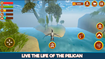 Pelican Simulator 3D: Bird Life