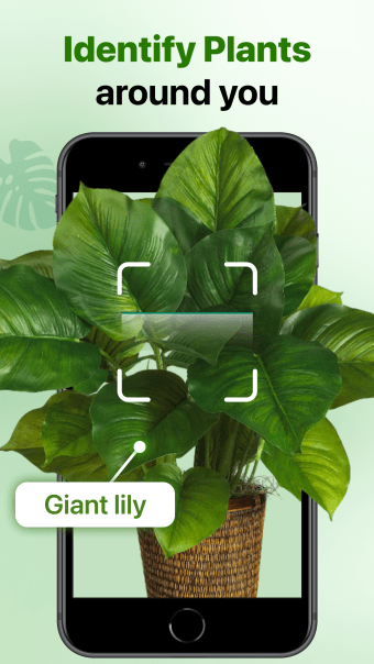 Plant Identifier AI - Plant ID
