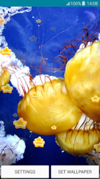Live Wallpapers - Jellyfish