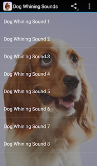 Dog Whining Sounds