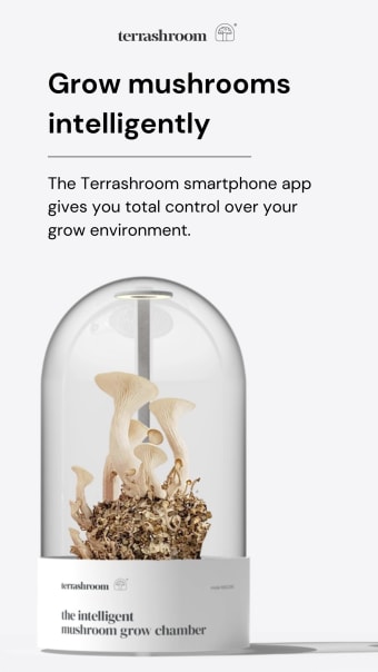 Terrashroom