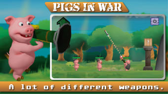 Angry  Pigs