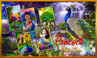 Peacock Photo Frame : Garnish your photos