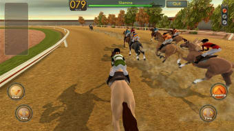 Race Horses Champions 3