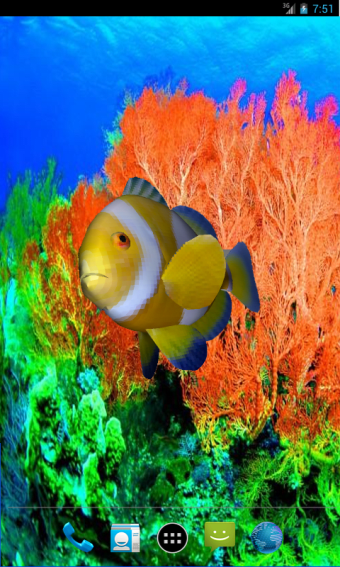 3D Clownfish Live Wallpaper