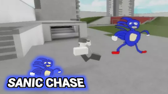 Sanic Chase CINAS