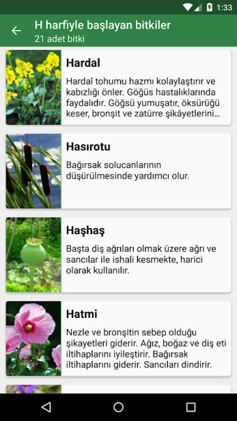 Botanik Şifa: Şifalı Bitkiler