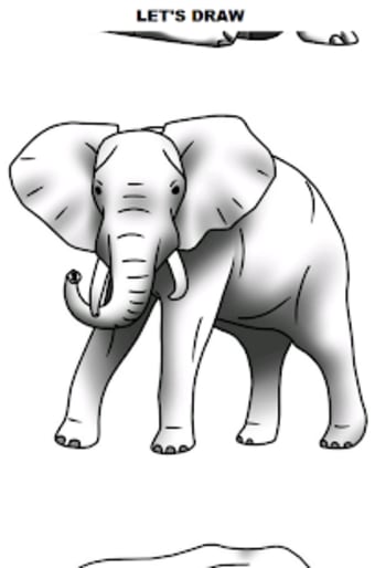 How to Draw Elephants