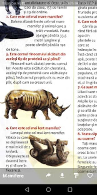 Regatul Animalelor Enciclopedie Pentru Copii