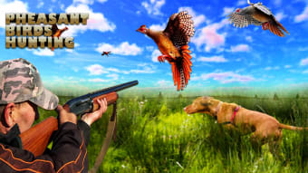 Pheasant Bird Hunting 18