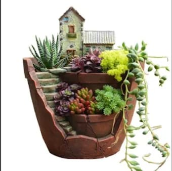 Succulent plant pot design