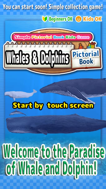 Whales  Dolphins of the World -Simple Pictorial Book Kids Game -