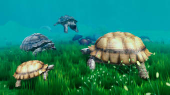 Ocean Turtle Adventure Game 3D