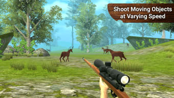 Master Sharp Shooter - Shooting Game