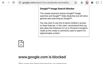 Google™ Image Search Blocker