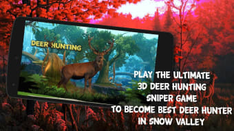 Deer Hunting in Hunter Valley