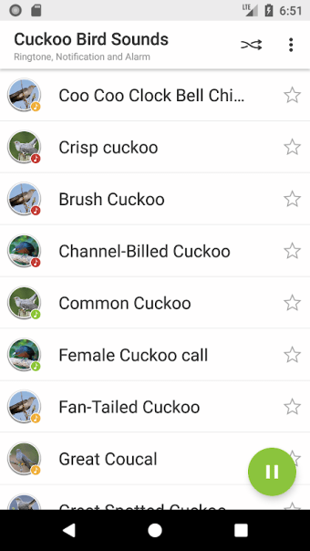 Appp.io - Cuckoo Sounds