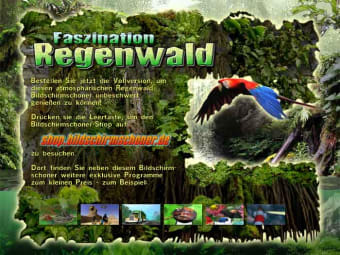 Faszination Regenwald Bildschirmschoner