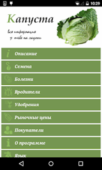 Cabbage from A to Z