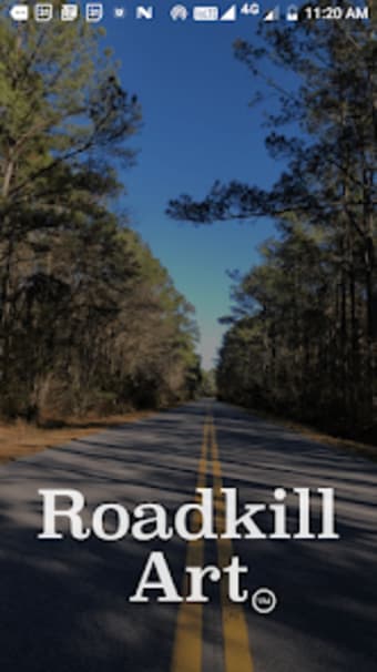 Roadkill Art