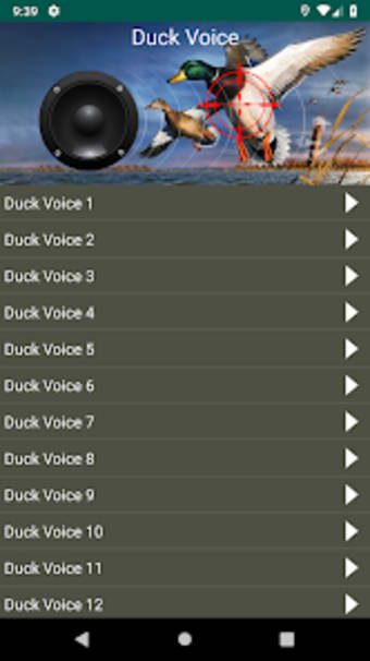 Duck Calling  High Quality So