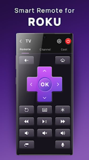 TV Remote Control for Roku