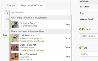 iNaturalist Enhancement Suite