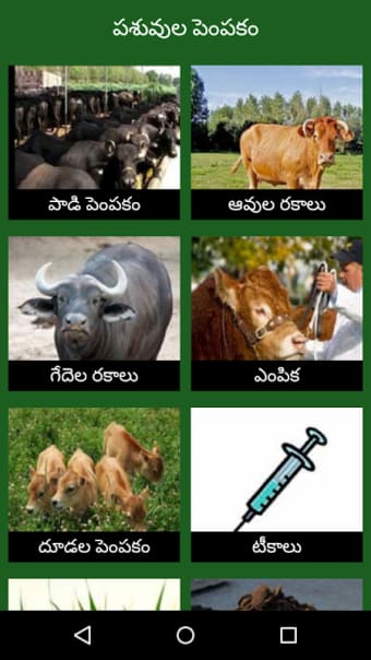 Dairy Farming Telugu