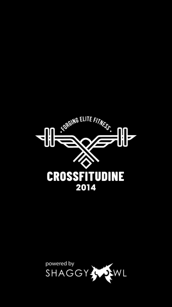 Crossfit Udine 2014