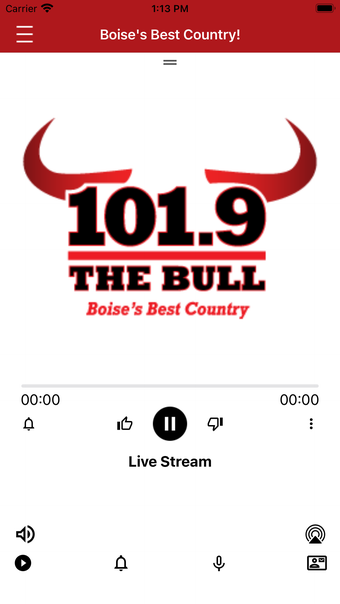 101.9 The Bull