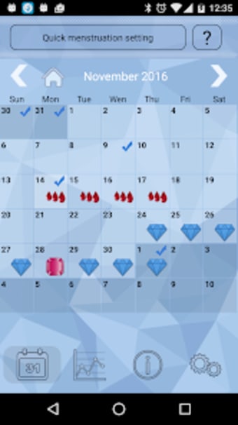 Womens Calendarcrystal