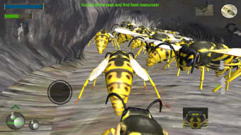 Wasp Nest Simulation Full