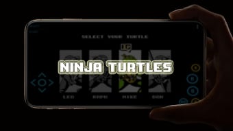 Hero Turtles: Mutant Ninja is back