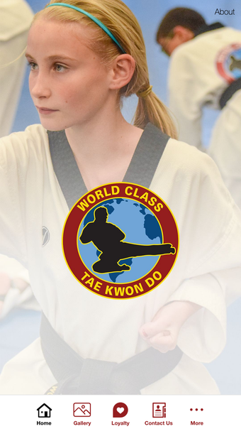 World Class Tae Kwon Do