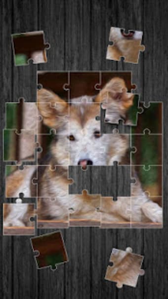 Pets Jigsaw Puzzle Game